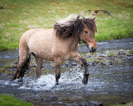 150609-Skalakot_3-240